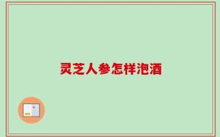 灵芝人参怎样泡酒