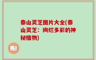 泰山灵芝图片大全(泰山灵芝：绚烂多彩的神秘植物)
