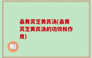 桑黄灵芝黄芪汤(桑黄灵芝黄芪汤的功效和作用)