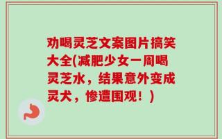 劝喝灵芝文案图片搞笑大全(减肥少女一周喝灵芝水，结果意外变成灵犬，惨遭围观！)