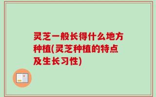 灵芝一般长得什么地方种植(灵芝种植的特点及生长习性)