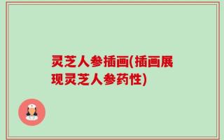 灵芝人参插画(插画展现灵芝人参药性)