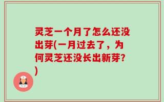 灵芝一个月了怎么还没出芽(一月过去了，为何灵芝还没长出新芽？)
