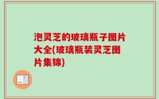 泡灵芝的玻璃瓶子图片大全(玻璃瓶装灵芝图片集锦)