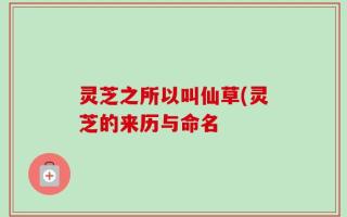 灵芝之所以叫仙草(灵芝的来历与命名