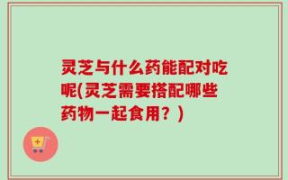 灵芝与什么药能配对吃呢(灵芝需要搭配哪些药物一起食用？)