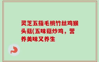 灵芝五指毛桃竹丝鸡猴头菇(五味菇炒鸡，营养美味又养生