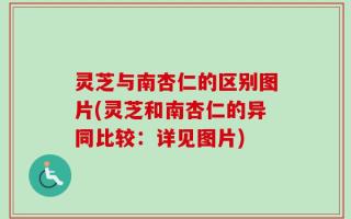 灵芝与南杏仁的区别图片(灵芝和南杏仁的异同比较：详见图片)