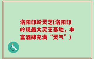 洛阳邙岭灵芝(洛阳邙岭现最大灵芝基地，丰富酒肆充满“灵气”)