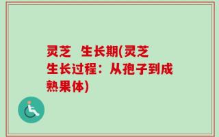 灵芝  生长期(灵芝生长过程：从孢子到成熟果体)