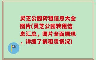 灵芝公园转租信息大全图片(灵芝公园转租信息汇总，图片全面展现，详细了解租赁情况)