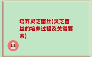 培养灵芝菌丝(灵芝菌丝的培养过程及关键要素)