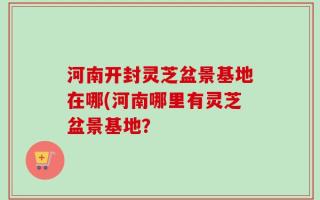 河南开封灵芝盆景基地在哪(河南哪里有灵芝盆景基地？