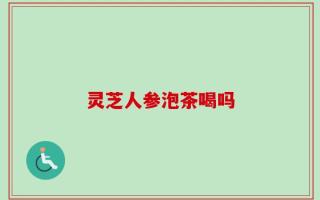 灵芝人参泡茶喝吗