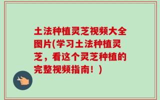 土法种植灵芝视频大全图片(学习土法种植灵芝，看这个灵芝种植的完整视频指南！)