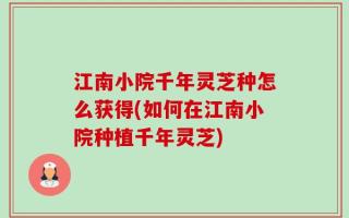 江南小院千年灵芝种怎么获得(如何在江南小院种植千年灵芝)