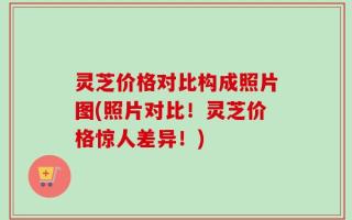 灵芝价格对比构成照片图(照片对比！灵芝价格惊人差异！)