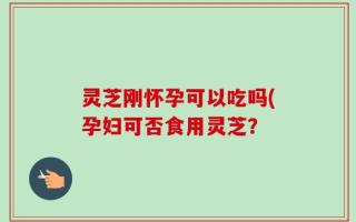 灵芝刚怀孕可以吃吗(孕妇可否食用灵芝？