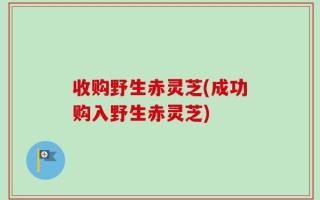 收购野生赤灵芝(成功购入野生赤灵芝)