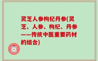 灵芝人参枸杞丹参(灵芝、人参、枸杞、丹参——传统中医重要药材的组合)