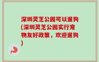 深圳灵芝公园可以遛狗(深圳灵芝公园实行宠物友好政策，欢迎遛狗)