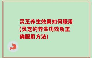 灵芝养生效果如何服用(灵芝的养生功效及正确服用方法)