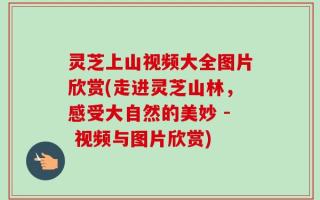 灵芝上山视频大全图片欣赏(走进灵芝山林，感受大自然的美妙 - 视频与图片欣赏)