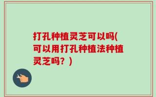 打孔种植灵芝可以吗(可以用打孔种植法种植灵芝吗？)