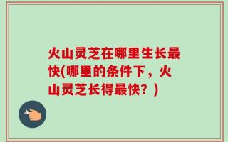火山灵芝在哪里生长最快(哪里的条件下，火山灵芝长得最快？)