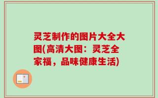 灵芝制作的图片大全大图(高清大图：灵芝全家福，品味健康生活)