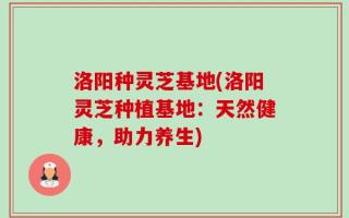 洛阳种灵芝基地(洛阳灵芝种植基地：天然健康，助力养生)