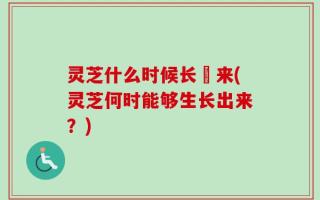 灵芝什么时候长岀来(灵芝何时能够生长出来？)