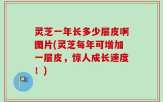 灵芝一年长多少层皮啊图片(灵芝每年可增加一层皮，惊人成长速度！)