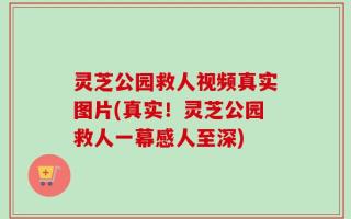 灵芝公园救人视频真实图片(真实！灵芝公园救人一幕感人至深)