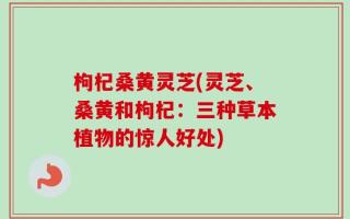 枸杞桑黄灵芝(灵芝、桑黄和枸杞：三种草本植物的惊人好处)