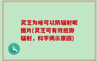 灵芝为啥可以防辐射呢图片(灵芝可有效抵御辐射，科学揭示原因)