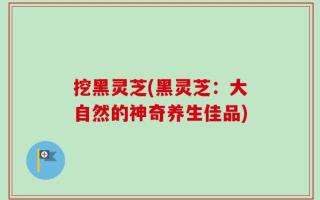 挖黑灵芝(黑灵芝：大自然的神奇养生佳品)