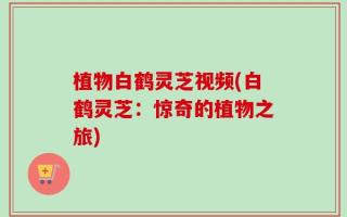 植物白鹤灵芝视频(白鹤灵芝：惊奇的植物之旅)