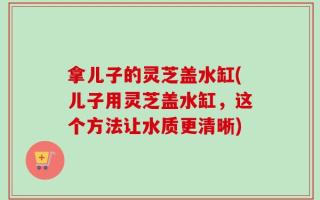 拿儿子的灵芝盖水缸(儿子用灵芝盖水缸，这个方法让水质更清晰)