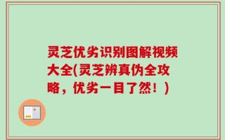 灵芝优劣识别图解视频大全(灵芝辨真伪全攻略，优劣一目了然！)