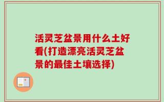 活灵芝盆景用什么土好看(打造漂亮活灵芝盆景的最佳土壤选择)