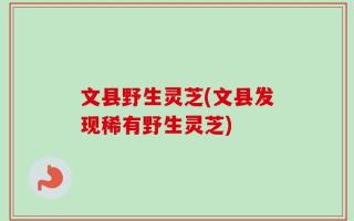 文县野生灵芝(文县发现稀有野生灵芝)