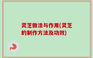 灵芝做法与作用(灵芝的制作方法及功效)