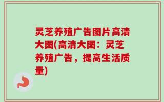 灵芝养殖广告图片高清大图(高清大图：灵芝养殖广告，提高生活质量)