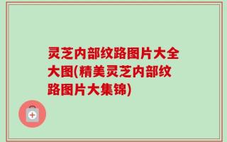 灵芝内部纹路图片大全大图(精美灵芝内部纹路图片大集锦)