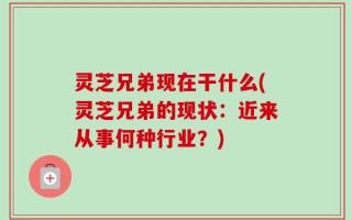 灵芝兄弟现在干什么(灵芝兄弟的现状：近来从事何种行业？)