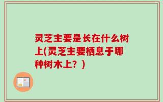 灵芝主要是长在什么树上(灵芝主要栖息于哪种树木上？)