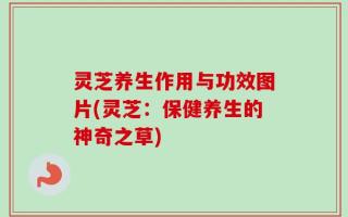 灵芝养生作用与功效图片(灵芝：保健养生的神奇之草)