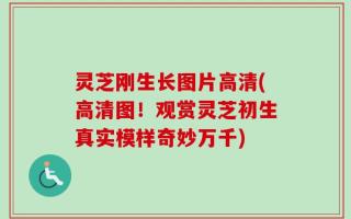 灵芝刚生长图片高清(高清图！观赏灵芝初生真实模样奇妙万千)