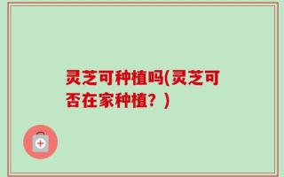 灵芝可种植吗(灵芝可否在家种植？)